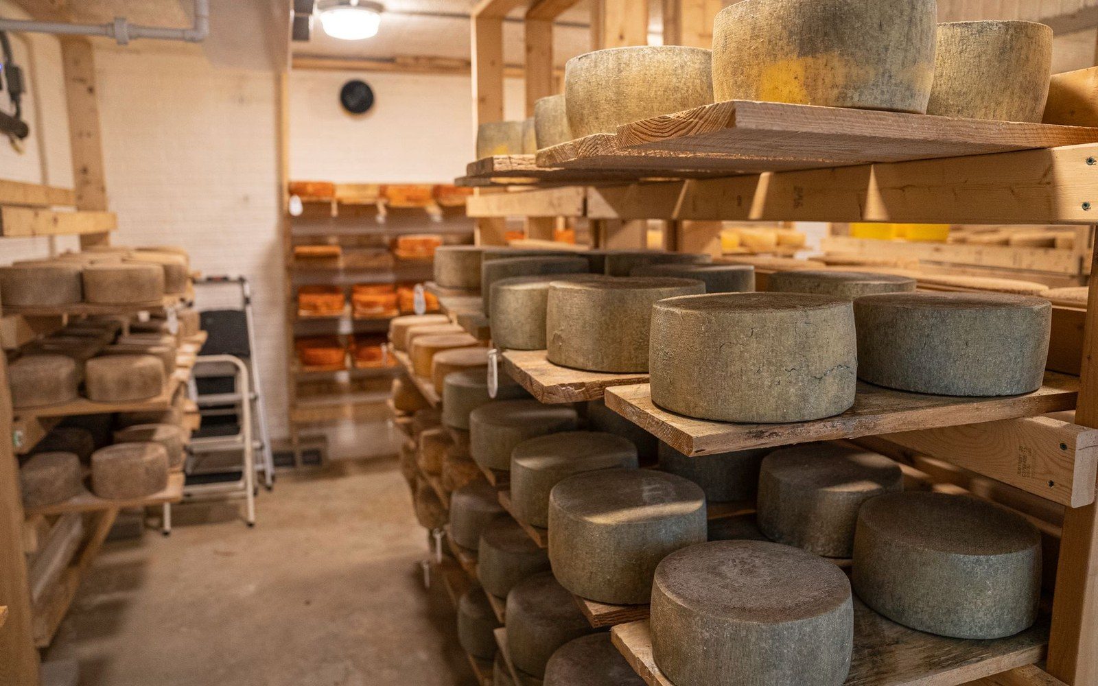 Rows of Beaufort cheese wheels aging on pine shelves in a cooperative cellar, a worker turning one in the foreground