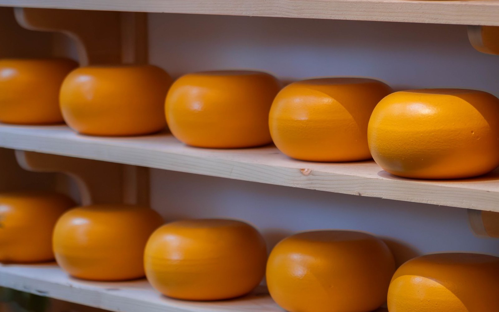 Cheese wheels wooden shelves cellar